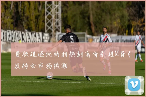 曼联追逐托纳利热刺高价引进M费引发转会市场热潮